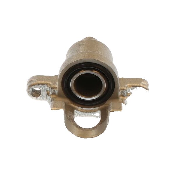 Piston Brake Caliper 1-piston 10 mm TRISCAN Aftermarket-Expertise for LEXUS RX