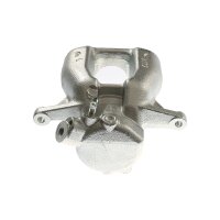 Piston Brake Caliper 1-piston 18 mm TRISCAN IAM-Expertise...