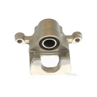 Piston Brake Caliper 1-piston 9 mm TRISCAN IAM-Expertise...