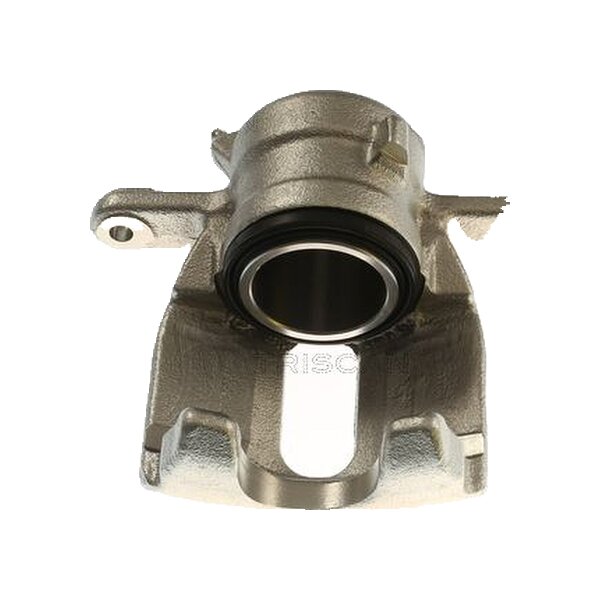 Piston Brake Caliper 1-piston 22 mm TRISCAN IAM-Expertise for NISSAN MICRA
