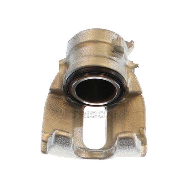 Piston Brake Caliper 1-piston 22 mm TRISCAN IAM-Expertise for NISSAN MICRA