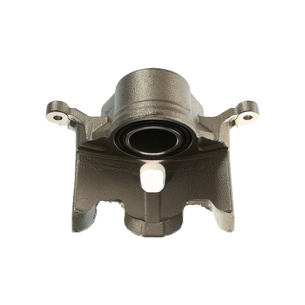 Piston Brake Caliper 1-piston 18 mm TRISCAN IAM-Expertise for NISSAN MICRA