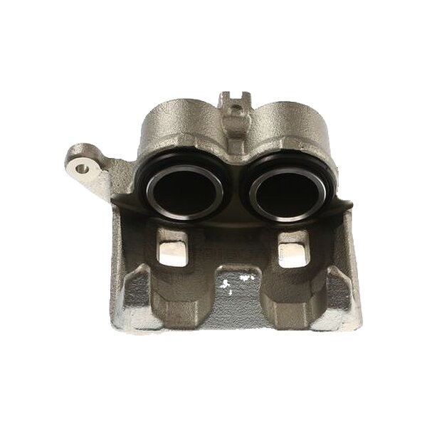 Piston Brake Caliper 2-piston 28 mm TRISCAN IAM-Expertise for NISSAN NAVARA