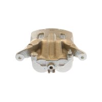 Piston Brake Caliper 2-piston 28 mm TRISCAN IAM-Expertise...
