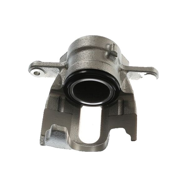 Piston Brake Caliper 1-piston 22 mm TRISCAN IAM-Expertise for NISSAN MICRA