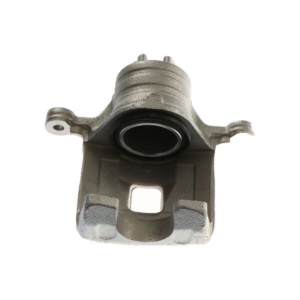 Piston Brake Caliper 1-piston 18 mm TRISCAN IAM-Expertise for NISSAN PATROL