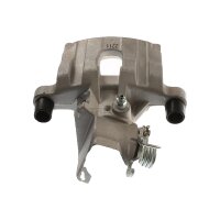 Piston Brake Caliper 1-piston 10 mm TRISCAN IAM-Expertise...