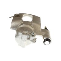 Piston Brake Caliper 1-piston 11 mm TRISCAN...