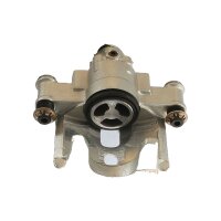 Piston Brake Caliper 1-piston 24 mm TRISCAN IAM-Expertise...