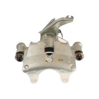 Piston Brake Caliper 1-piston 24 mm TRISCAN IAM-Expertise for IVECO DAILY