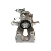 Piston Brake Caliper 1-piston 10 mm TRISCAN IAM-Expertise...