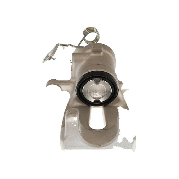 Piston Brake Caliper 1-piston 10 mm TRISCAN IAM-Expertise for e.g. FIAT 500L