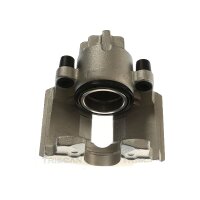 Piston Brake Caliper 1-piston 24 mm TRISCAN IAM-Expertise...