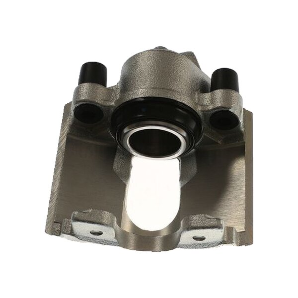 Piston Brake Caliper 1-piston 20 mm TRISCAN IAM-Expertise for FORD FIESTA