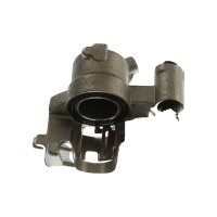 Piston Brake Caliper 1-Piston 11 mm TRISCAN IAM-Expertise...