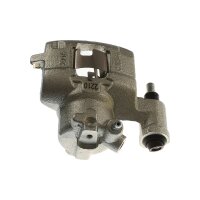 Piston Brake Caliper 1-Piston 11 mm TRISCAN IAM-Expertise...