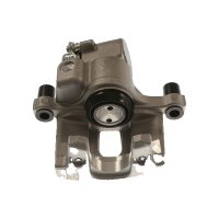 Piston Brake Caliper 1-piston 11 mm TRISCAN IAM-Expertise...