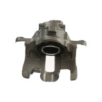 Piston Brake Caliper 1-piston 13 mm TRISCAN IAM-Expertise...