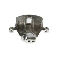 Piston Brake Caliper 1-piston 13 mm TRISCAN IAM-Expertise...