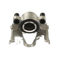 Piston Brake Caliper 1-piston 24 mm TRISCAN IAM-Expertise...