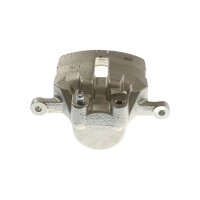 Piston Brake Caliper 1-piston 30 mm TRISCAN IAM-Expertise...