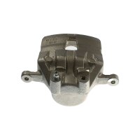 Piston Brake Caliper 1-piston 30 mm TRISCAN IAM-Expertise...