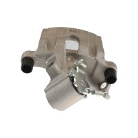 Piston Brake Caliper 1-piston 12 mm TRISCAN IAM-Expertise...
