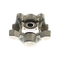 Piston Brake Caliper 2-piston 10 mm TRISCAN IAM-Expertise...