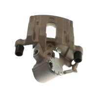 Piston Brake Caliper 1-piston 20 mm TRISCAN IAM-Expertise...