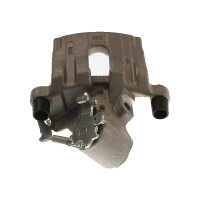 Piston Brake Caliper 1-piston 20 mm TRISCAN IAM-Expertise...
