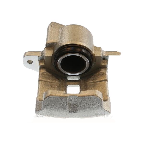 Piston Brake Caliper 1-piston 20 mm TRISCAN IAM-Expertise for RENAULT CLIO