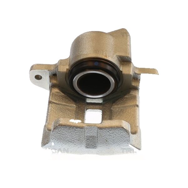 Piston Brake Caliper 1-piston 20 mm TRISCAN IAM-Expertise for RENAULT CLIO