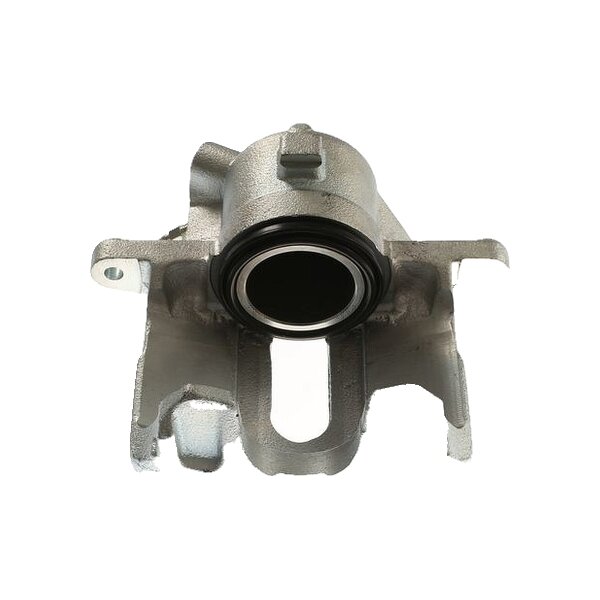 Piston Brake Caliper 1-piston 24 mm TRISCAN IAM-Expertise for RENAULT SCÉNIC