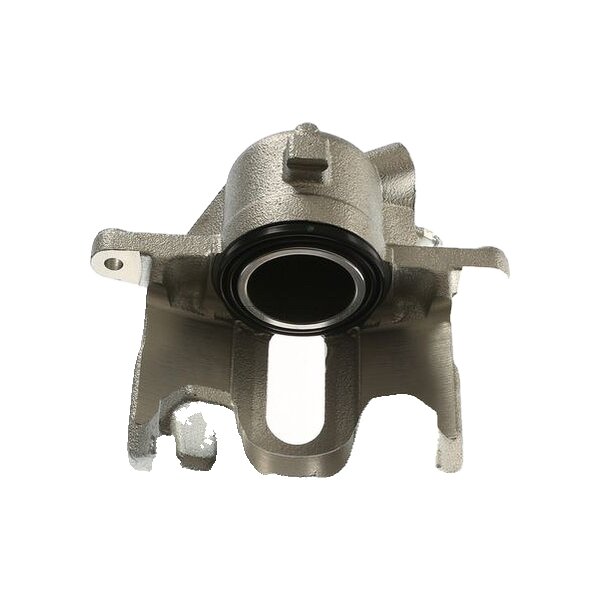 Piston Brake Caliper 1-piston 24 mm TRISCAN IAM-Expertise for RENAULT SCÉNIC