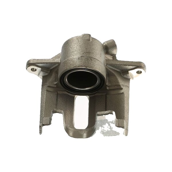 Piston Brake Caliper 1-piston 24 mm TRISCAN IAM-Expertise for RENAULT MEGANE