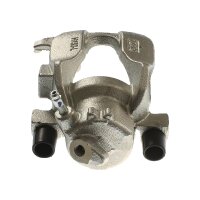 Piston Brake Caliper 1-piston 22 mm TRISCAN IAM-Expertise...