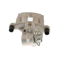 Piston Brake Caliper 1-piston 11 mm TRISCAN IAM-Expertise...