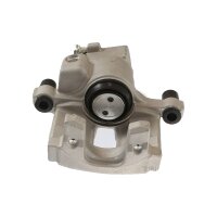 Piston Brake Caliper 1-piston 11 mm TRISCAN IAM-Expertise...