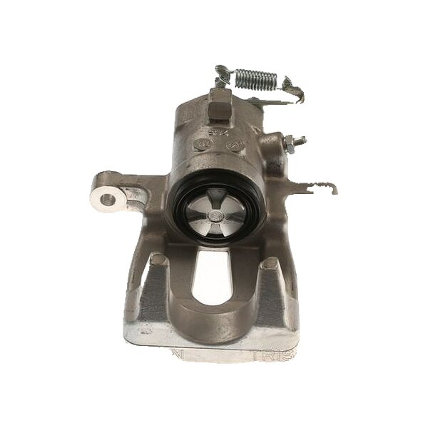 Piston Brake Caliper 1-piston 11 mm TRISCAN IAM-Expertise for RENAULT SCÉNIC