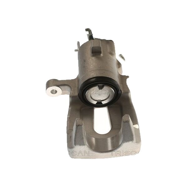 Piston Brake Caliper 1-Piston 11 mm TRISCAN IAM-Expertise for RENAULT GRAND
