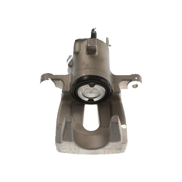 Piston Brake Caliper 1-Piston 11 mm TRISCAN IAM-Expertise for RENAULT GRAND