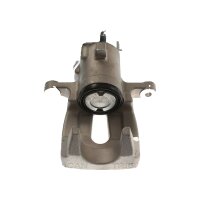 Piston Brake Caliper 1-Piston 11 mm TRISCAN IAM-Expertise...