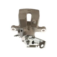 Piston Brake Caliper 1-piston 11 mm TRISCAN IAM-Expertise...