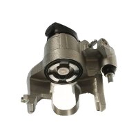 Piston Brake Caliper 1-piston 20 mm TRISCAN IAM-Expertise...