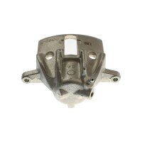 Piston Brake Caliper 1-piston 20.4 mm TRISCAN...
