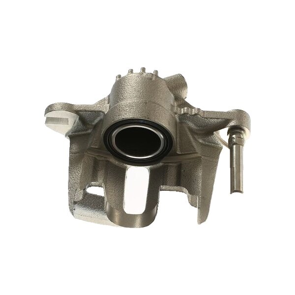 Piston Brake Caliper 1-piston 20.4 mm TRISCAN IAM-Expertise for PEUGEOT 206