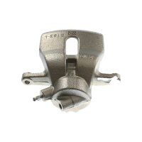 Piston Brake Caliper 1-piston 13 mm TRISCAN...