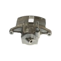 Piston Brake Caliper 1-piston 12.9 mm TRISCAN...