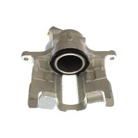 Piston Brake Caliper 1-piston 22 mm TRISCAN...
