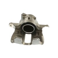 Piston Brake Caliper 1-piston 13 mm TRISCAN...